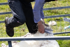 Shetland-Rural-Experience-2022_-8204