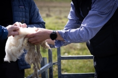 Shetland-Rural-Experience-2022_-8205