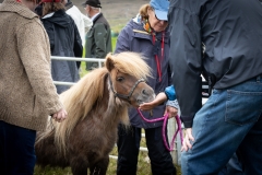 our-tours-fethaland2